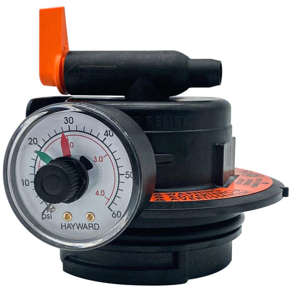 Hayward DEX2420MAR2 Manual Air Relief Assembly for DE & Cartridge Filters