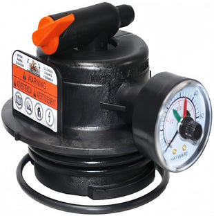 Hayward DEX2420MAR2 DE & Cartridge Filter Manual Air Relief Assembly