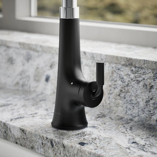 Black kitchen faucet on a granite countertop